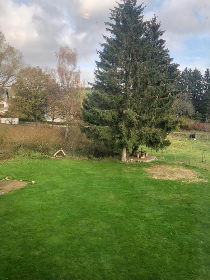 Haus Schneider Kaetchen Villa Deudesfeld Eksteriør billede
